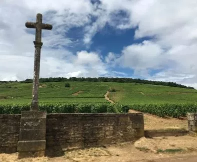 Domaine de la Romanée-Conti