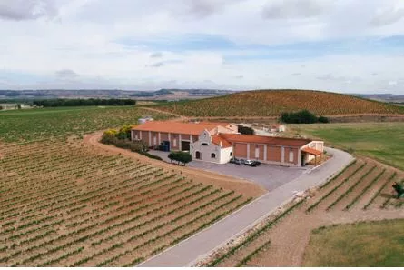 Bodegas Pingon (Carramimbre)