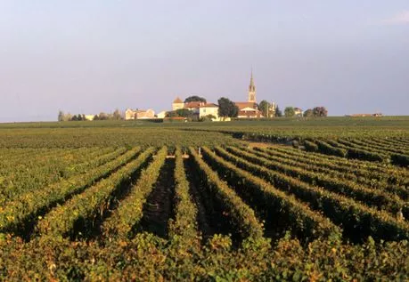 Château des Jacobins