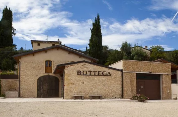 Bottega