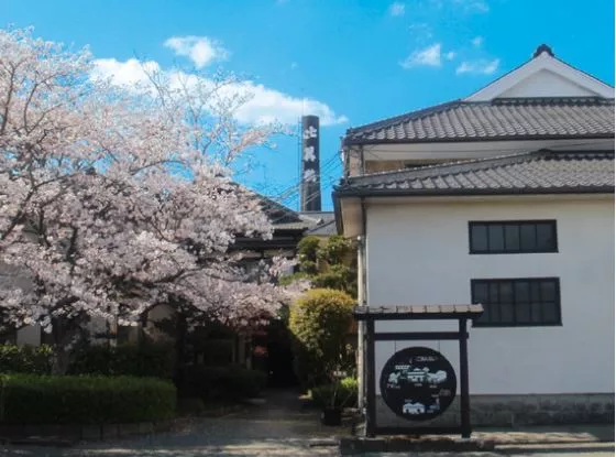 Kurume Distillery Shochu