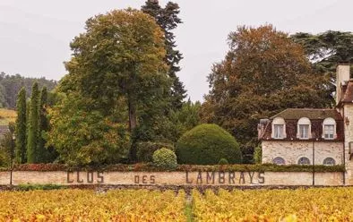 Domaine Clos des Lambrays