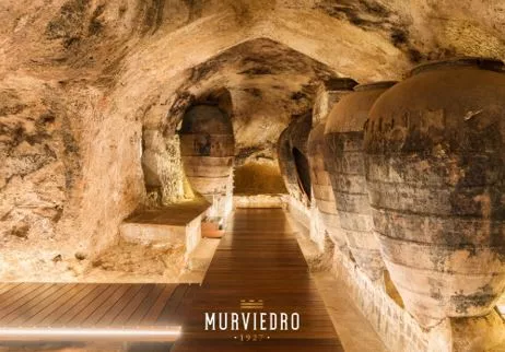 Bodegas Murviedro