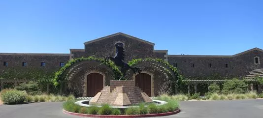 Black Stallion Winery