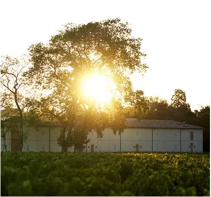 Château Mouton Baronne Philippe