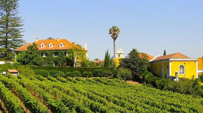 Quinta de Sant'Ana