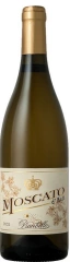 Moscato d'Asti DOCG Pianbello
<br />Cantine Amerio